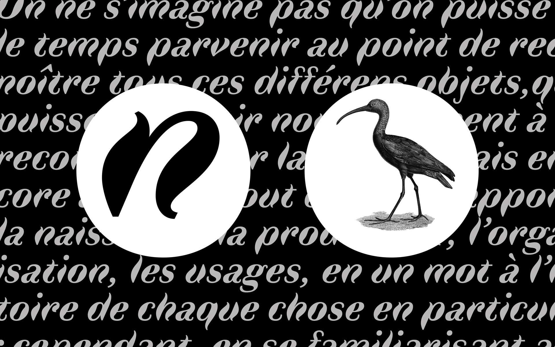 Illustration : typographie Faune créée par Alice Savoie, 2018.